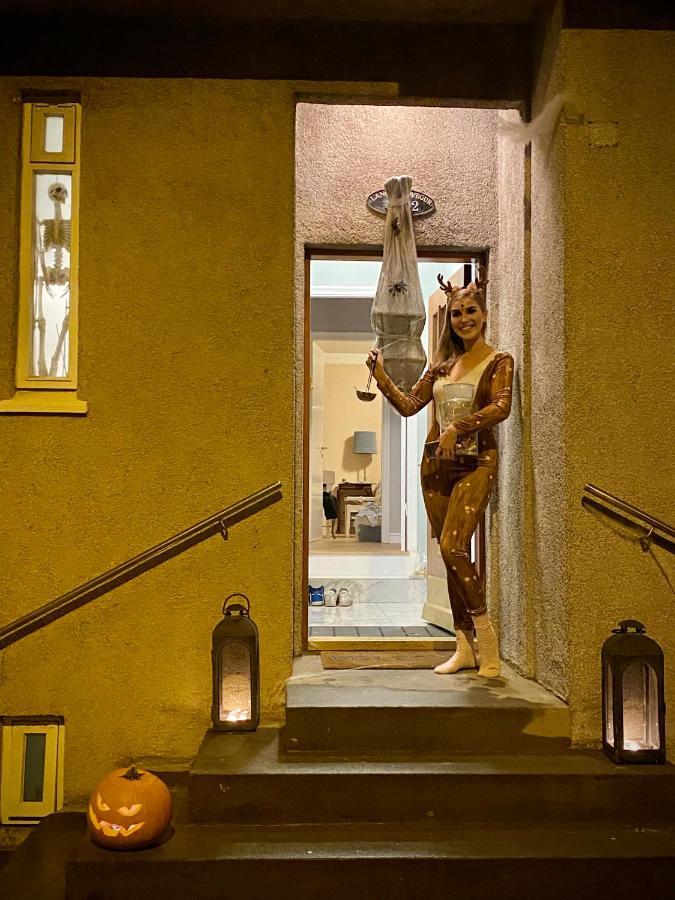 Casa Disa - Dreams, A Boutique Guesthouse In Reykjavik City'S Central Park And Botanical Garden In Laugardalur, Hot-Spring-Valley Buitenkant foto