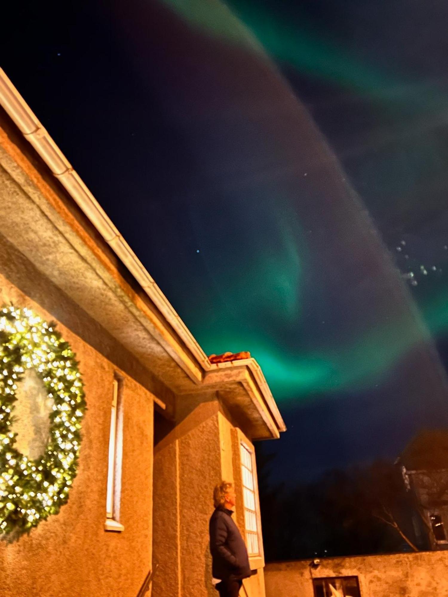 Casa Disa - Dreams, A Boutique Guesthouse In Reykjavik City'S Central Park And Botanical Garden In Laugardalur, Hot-Spring-Valley Buitenkant foto