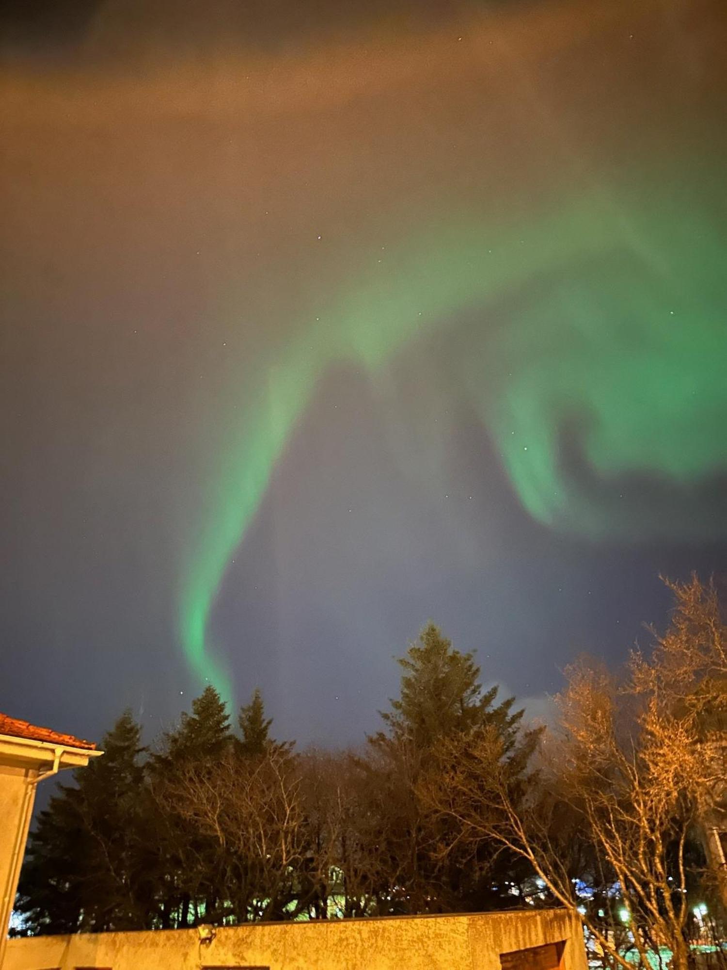 Casa Disa - Dreams, A Boutique Guesthouse In Reykjavik City'S Central Park And Botanical Garden In Laugardalur, Hot-Spring-Valley Buitenkant foto