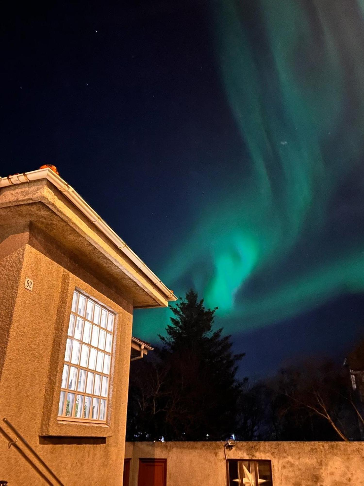 Casa Disa - Dreams, A Boutique Guesthouse In Reykjavik City'S Central Park And Botanical Garden In Laugardalur, Hot-Spring-Valley Buitenkant foto
